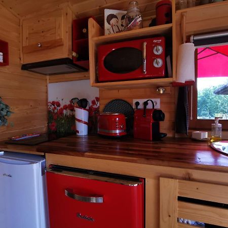 La Roulotte Du Cagire - 4 Pers - Pyrenees Guest House Villeneuve-de-Riviere Bagian luar foto