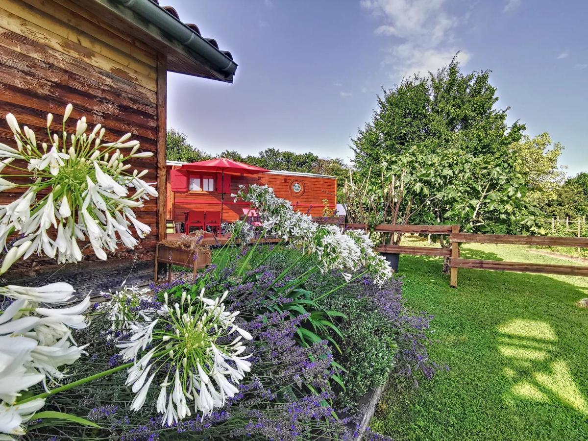 La Roulotte Du Cagire - 4 Pers - Pyrenees Guest House Villeneuve-de-Riviere Bagian luar foto